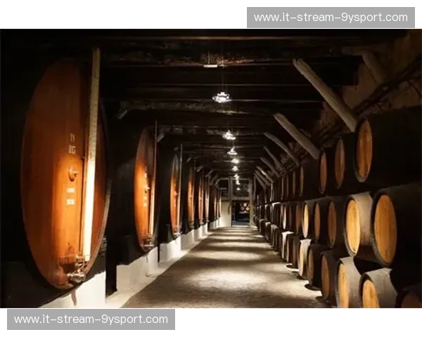 分析波尔图：从酒窖到世界舞台的城市魅力